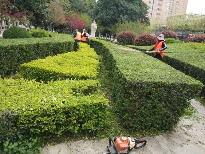 绿化工程如何提高城市的生态可持续性？
