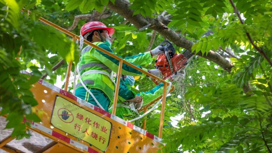 绿化工程怎么开9个点专票