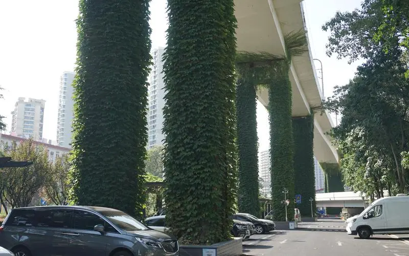 室内绿化工程前景