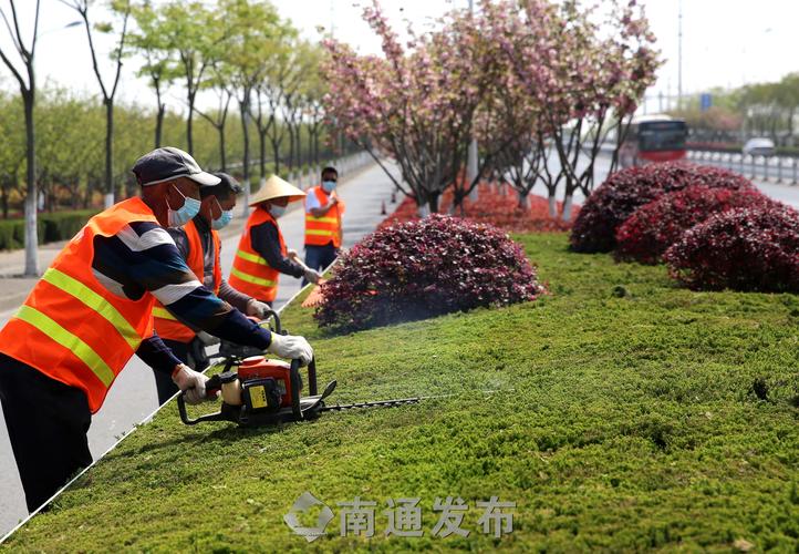 门头沟矿区绿化工程